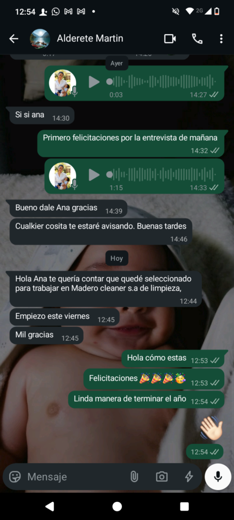 Currículum Profesional