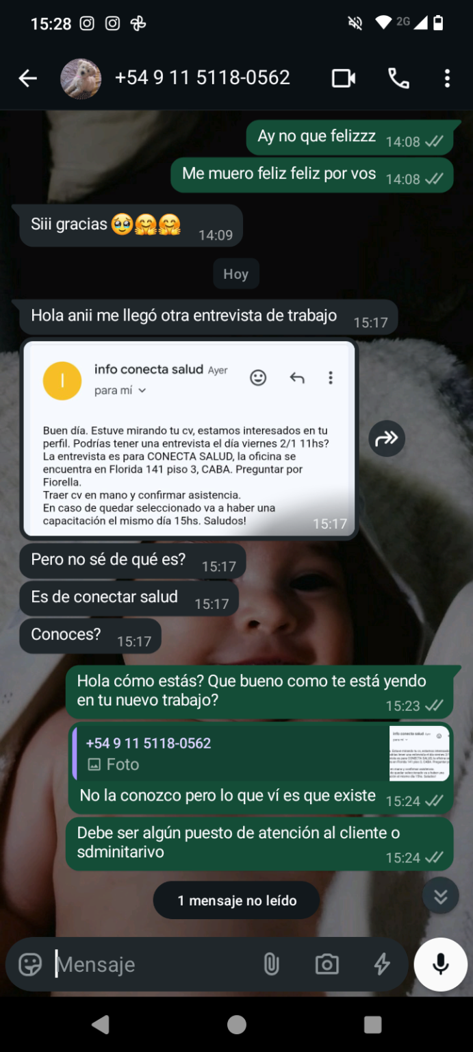 Currículum Profesional