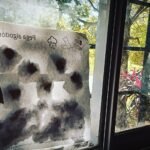 Clases de apoyo, talleres de lectura de cuentos. Lectoescritura.