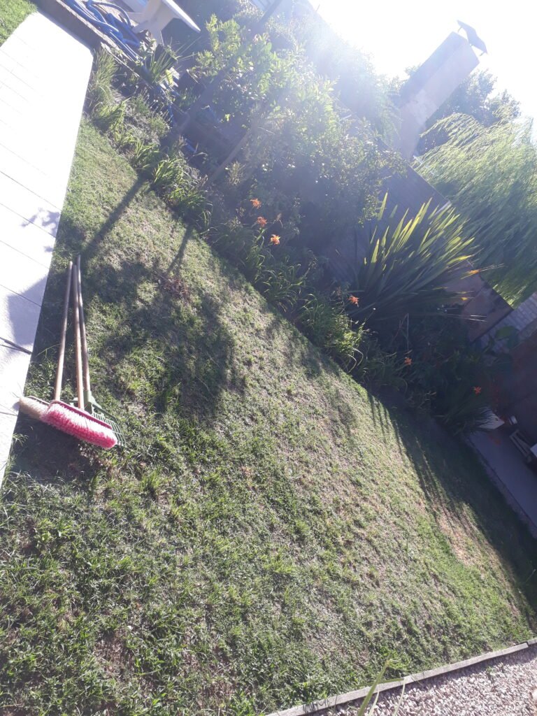 Mantenimiento, limpieza.