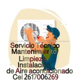 Servicio Técnico Matriculado
