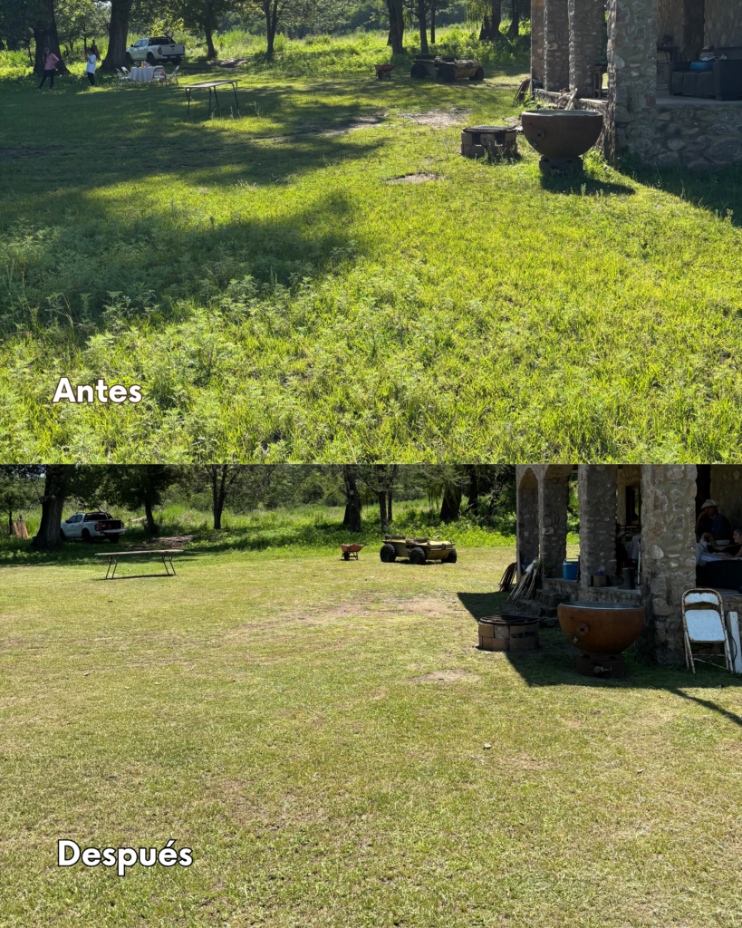 Jardinero