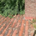 Mantenimiento general. Albiñil pintor etc. Mantenimiento general. Albiñil pintor etc.