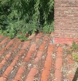 Mantenimiento general. Albiñil pintor etc.