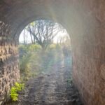 Psicoterapia presencial y online