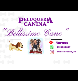 Peluquería canina ,atención personalizada cortes de raza , sanitarios , corte de uñas , limpieza de oídos , cuidado de manto , etc..
