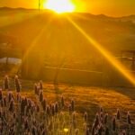 Electricidad y aire acondicionado