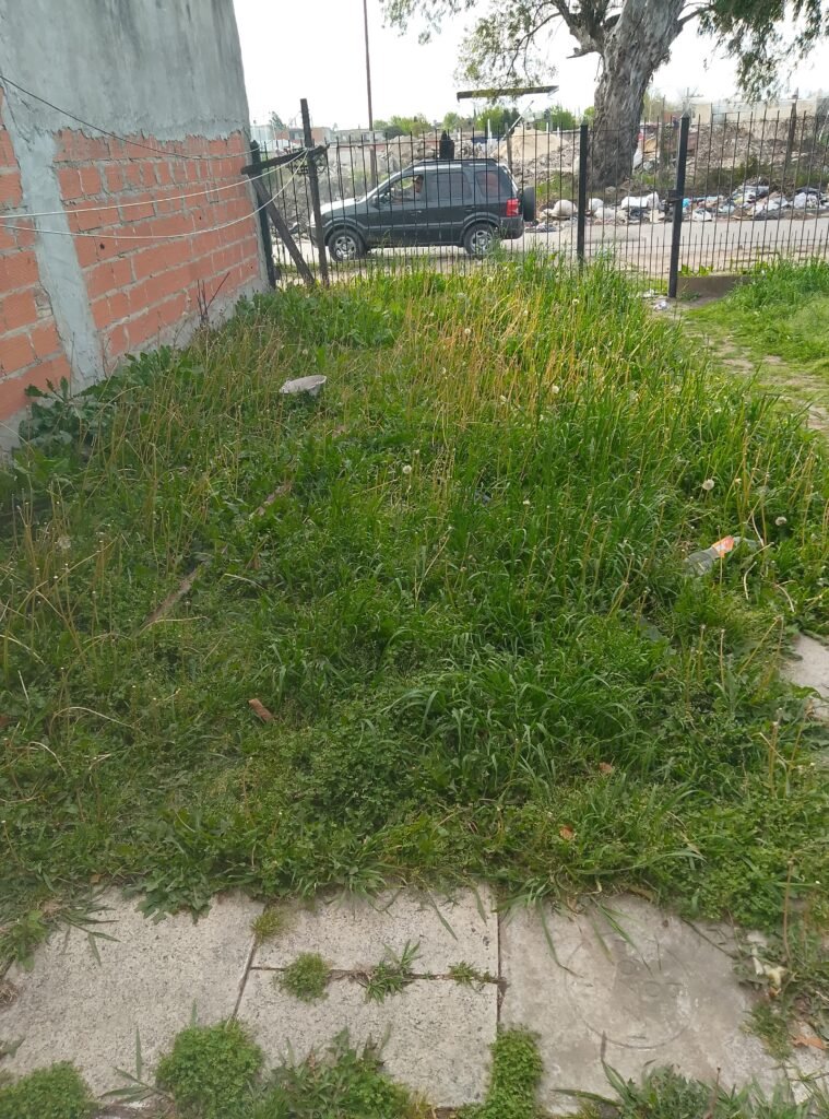 Cortador de pasto,y limpieza de terreno, fumigación de yuyos