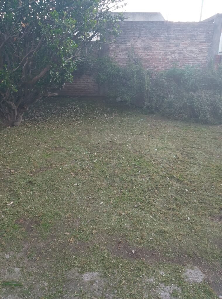 Cortador de pasto,y limpieza de terreno, fumigación de yuyos