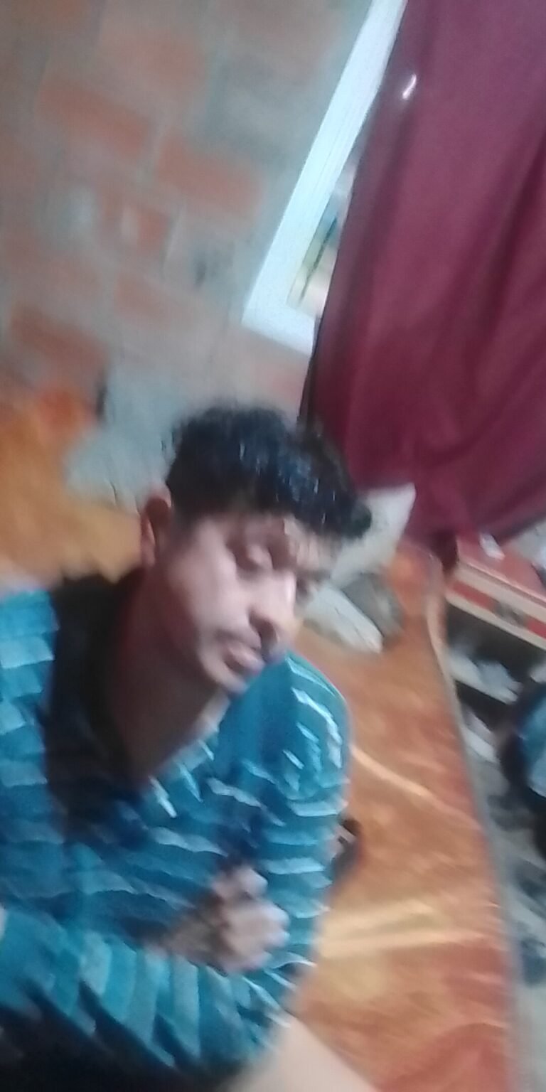 Carpintero, colocación de pisos de madera, pulido y plastificado,pintor, empleado de fabrica