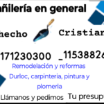 Albañil,clarquista,carga y descarga,lavador de autos empleado en frigoríficos