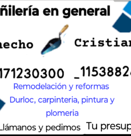 Albañil,clarquista,carga y descarga,lavador de autos empleado en frigoríficos
