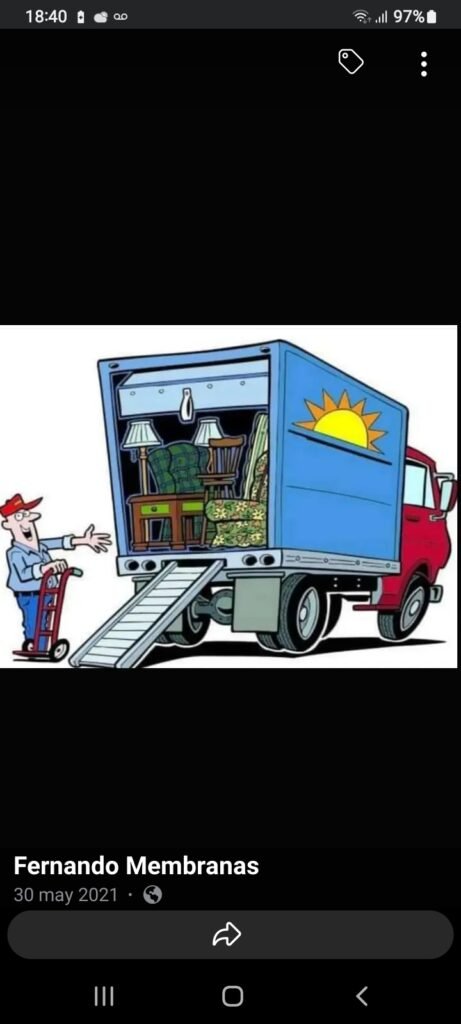 Conductor profesional ( LARGA DIS