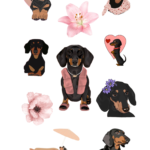 Sublimación. Stikers. Rotulación de útiles escolares