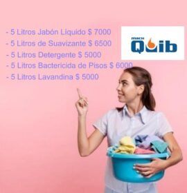 Artículos Limpieza a Domicilio Sin Cargo