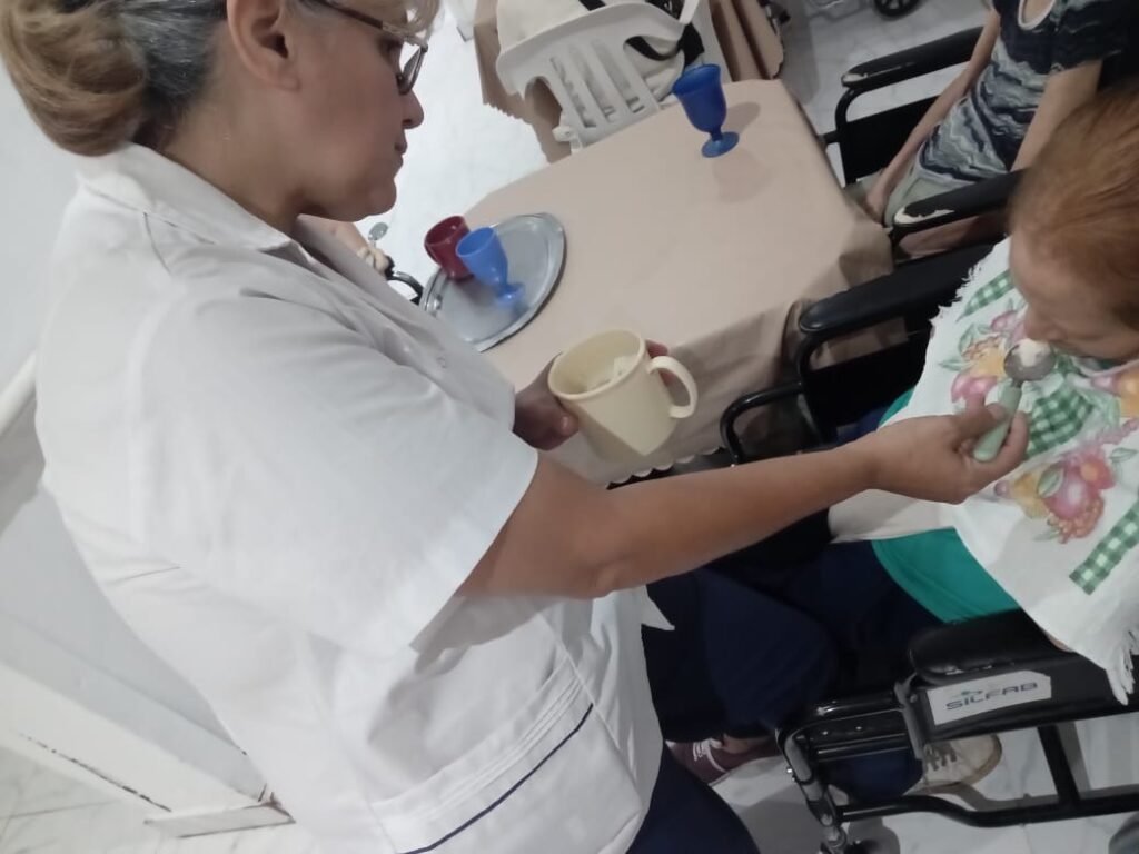 Acompañante terapeutico