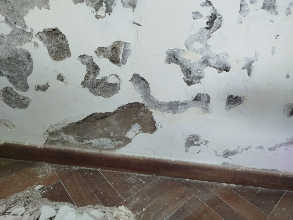 Abelardo servicios integrales del hogar