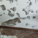 Abelardo servicios integrales del hogar