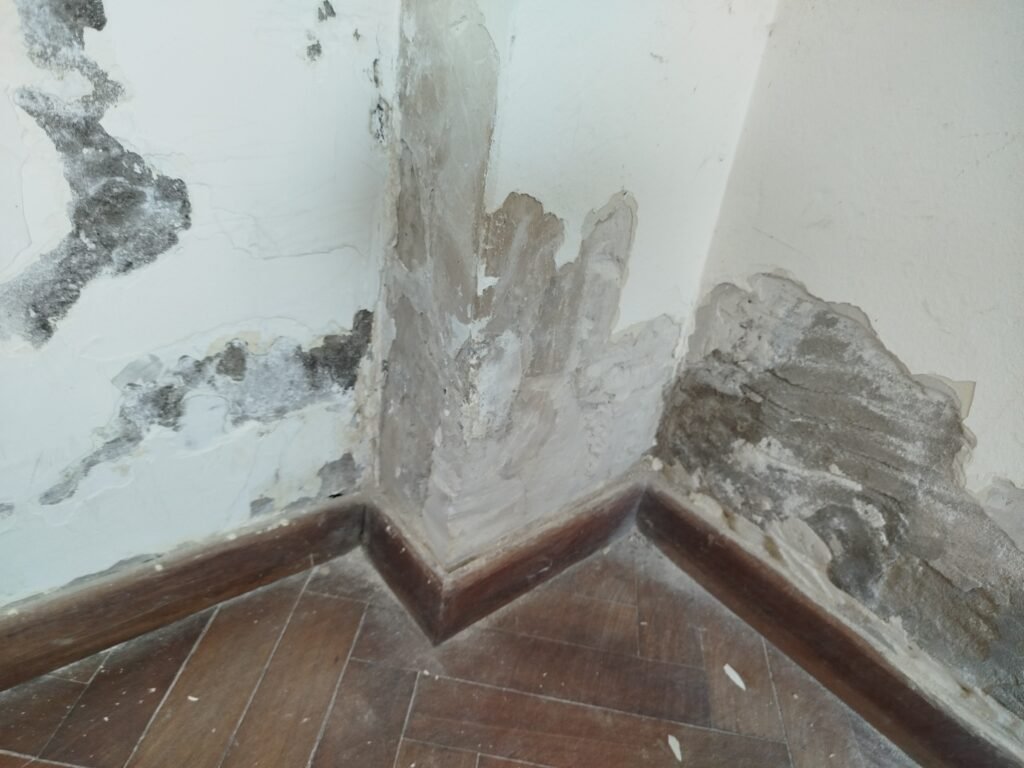 Abelardo servicios integrales del hogar
