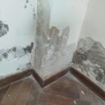 Abelardo servicios integrales del hogar