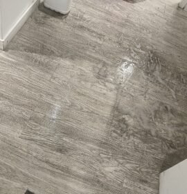 Limpieza y cuidados de adulto mayor