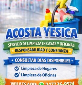 Li.pieza de hogares,empresas, oficinas etc