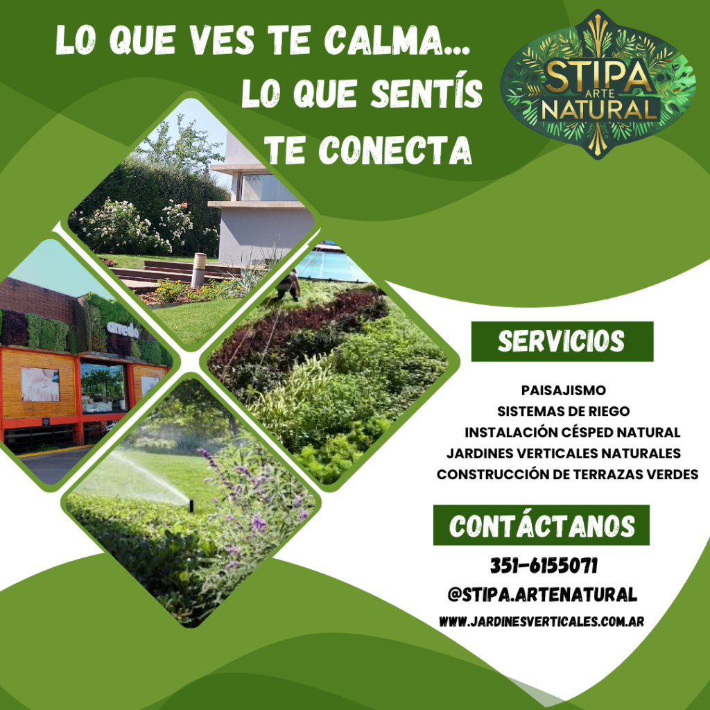 STIPA Arte Natural