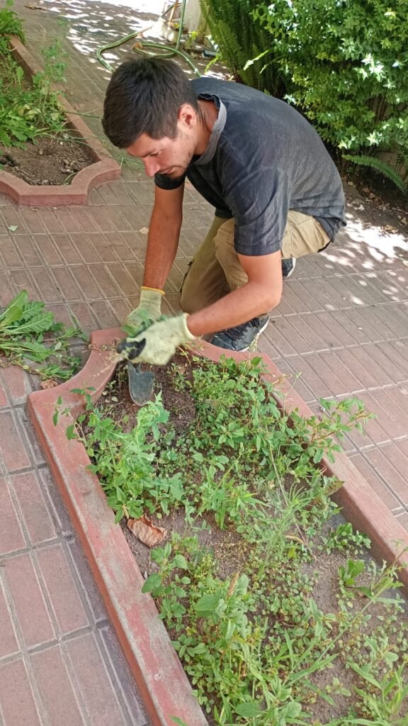 Jardinería corte de pasto y mante