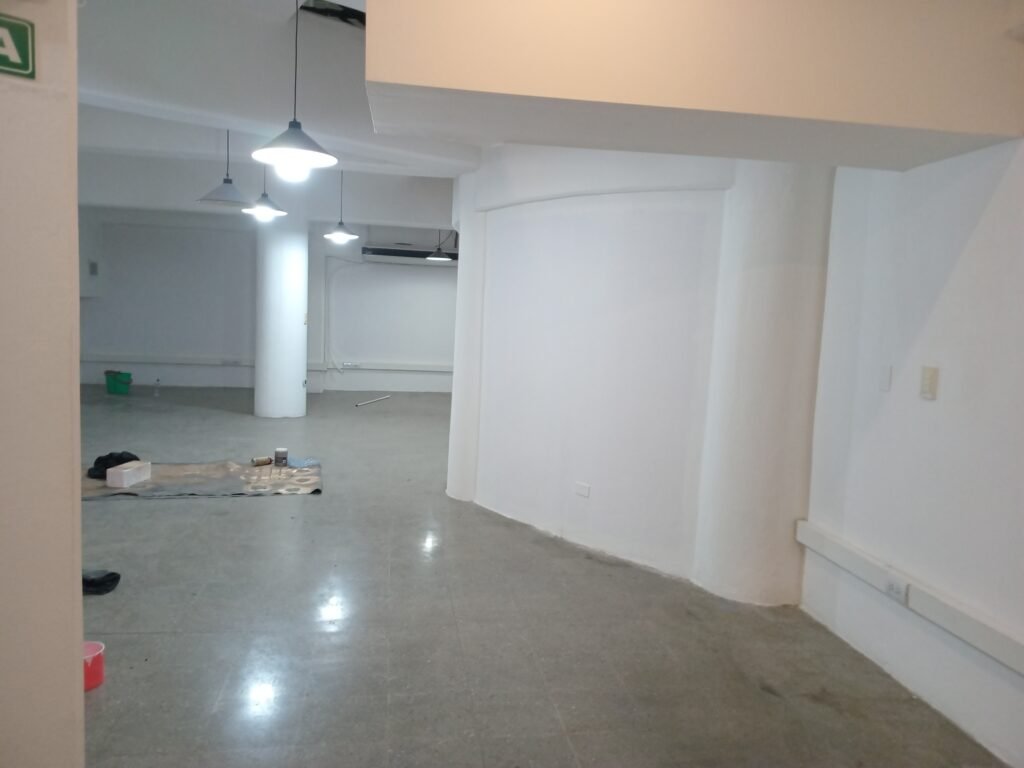 Remodelacion de viviendas y local