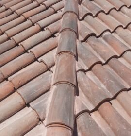 Pintor profesional tareas de pintura en general