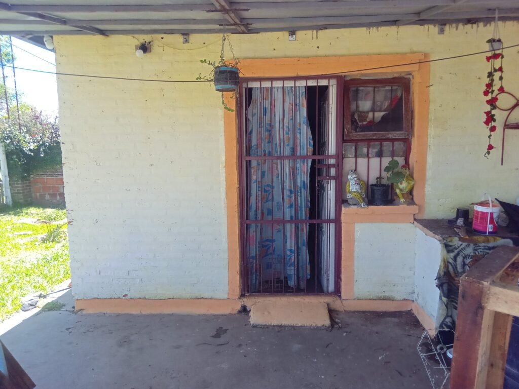 Construccion y pintura