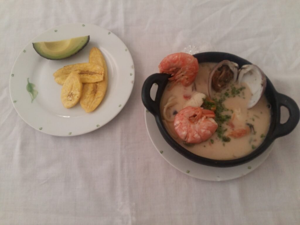 Cuidadora de adultos y chicos. Co