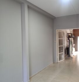 Pintura de casas y construcciones en seco ( durlok)