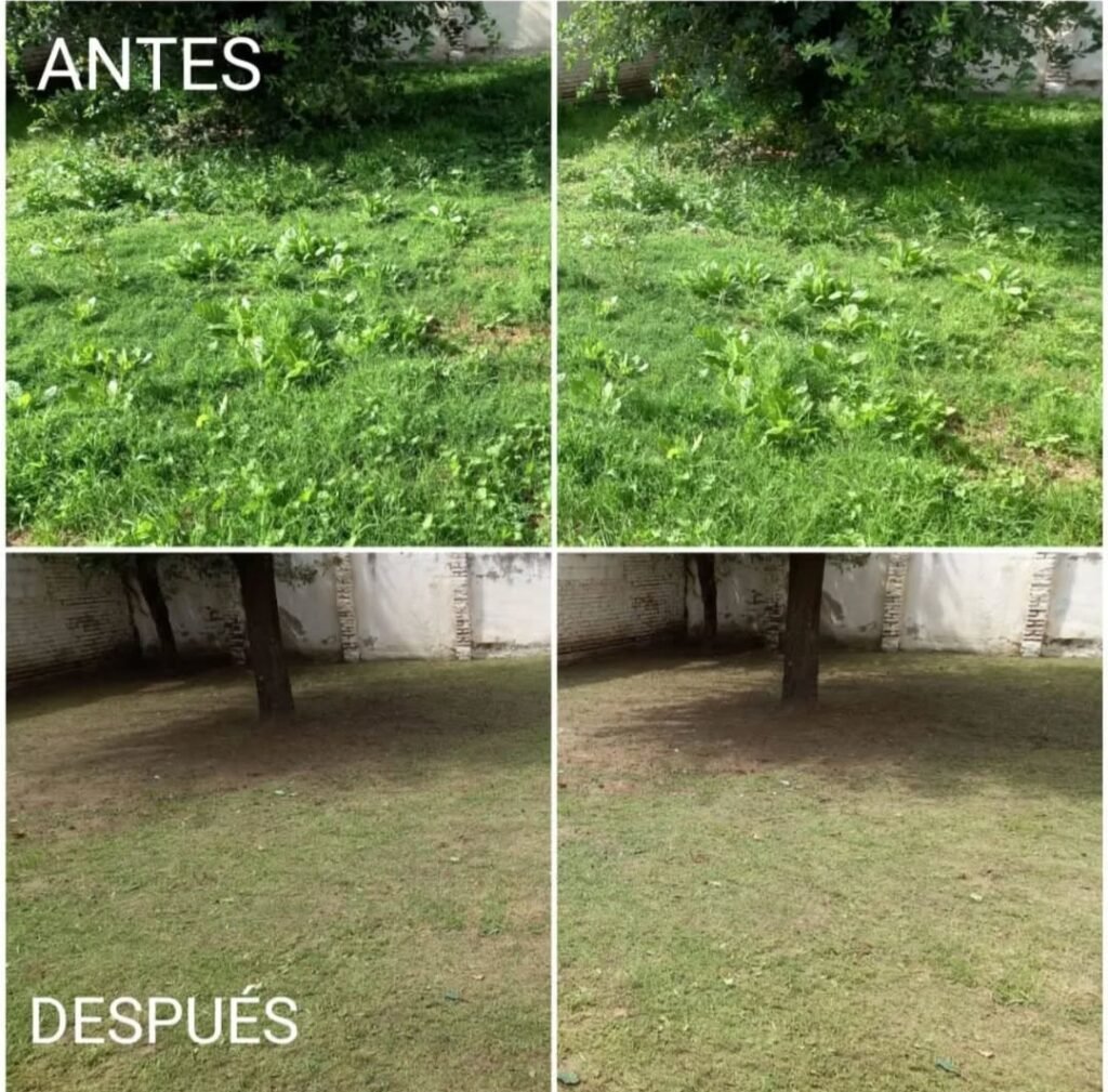 Mateo Jardinería