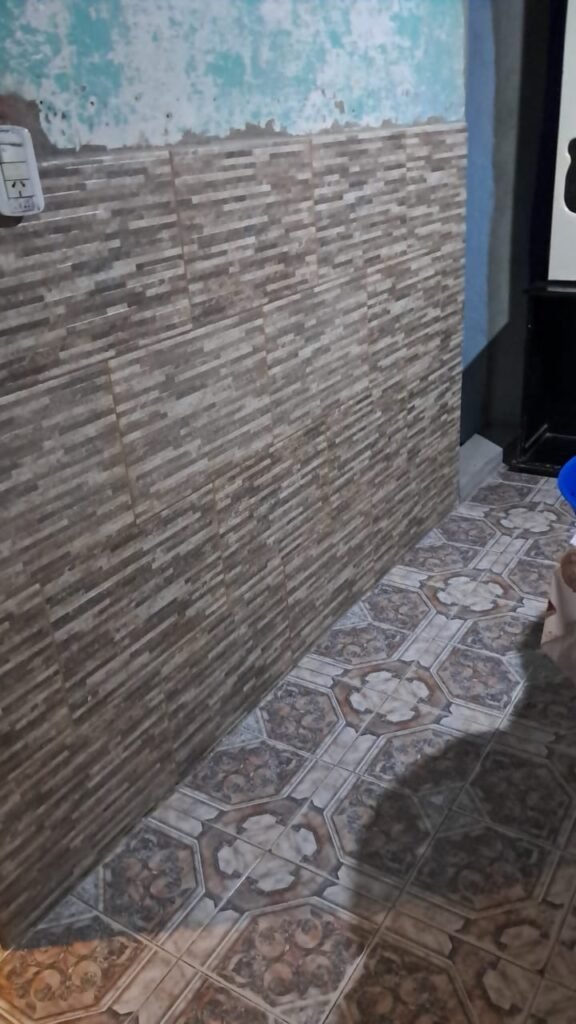 Albañil y colocador de cerámicas/porcelanatos electricista domiliario(título)