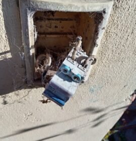 Electricidad plomería y paneles solares