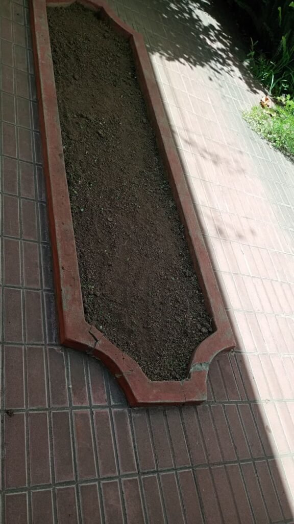 Jardinería corte de pasto y mante