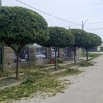 ParquizacionesypodasMF ParquizacionesypodasMF