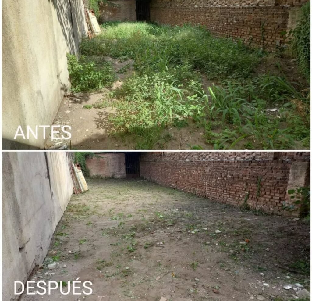 Mateo Jardinería