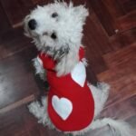 Diseño. Costura y arreglos