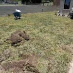 PAISAJISMO PARQUIZADOS Y JARDINES VERTICALES EN SALTA PAISAJISMO PARQUIZADOS Y JARDINES VERTICALES EN SALTA