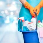 Limpieza de casas particulares,cuidado de niños y mascotas,atención de comercios,tareas administrativas y atención telefónica.