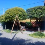 ParquizacionesypodasMF ParquizacionesypodasMF