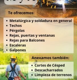 M y A servicios
