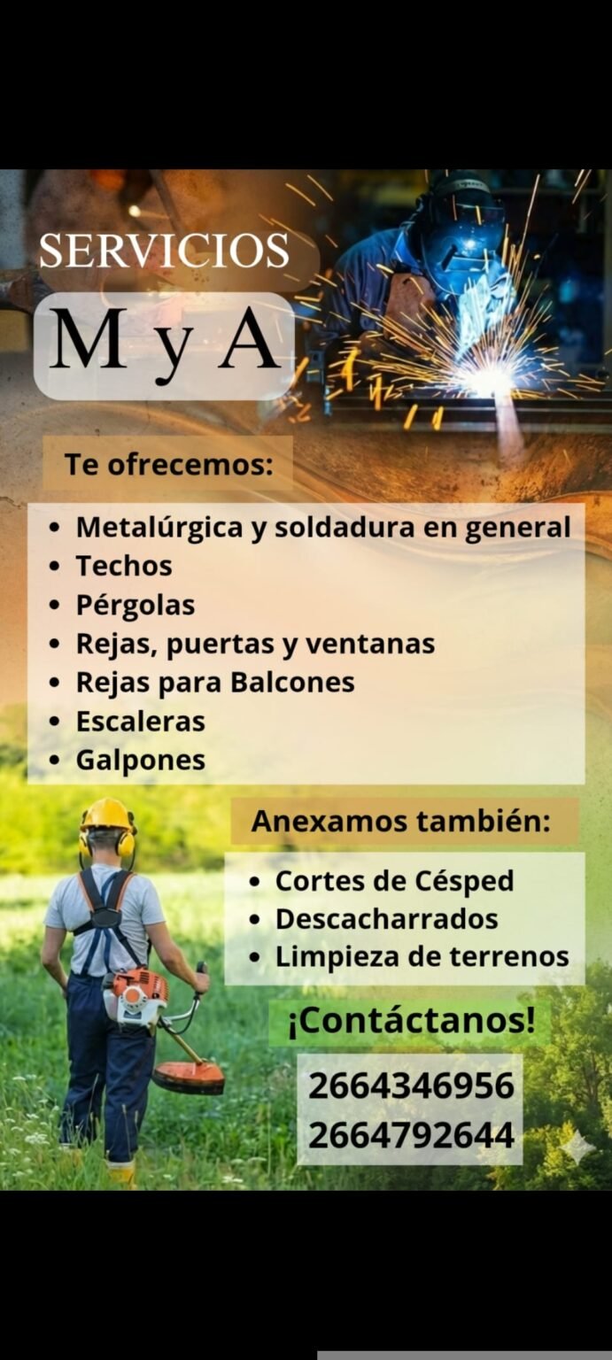 M y A servicios