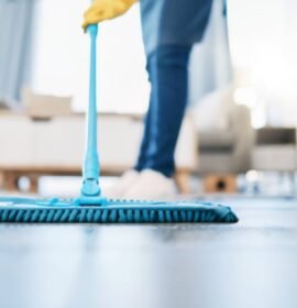 Limpieza de casas particulares,cuidado de niños y mascotas,atención de comercios,tareas administrativas y atención telefónica.