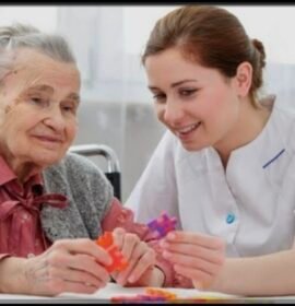 Acompañante terapeutico