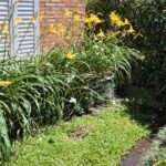 Paisajista–Diseño y mantenimiento de espacios verdes.