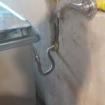 Ova servicios