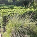 PAISAJISMO PARQUIZADOS Y JARDINES VERTICALES EN SALTA PAISAJISMO PARQUIZADOS Y JARDINES VERTICALES EN SALTA